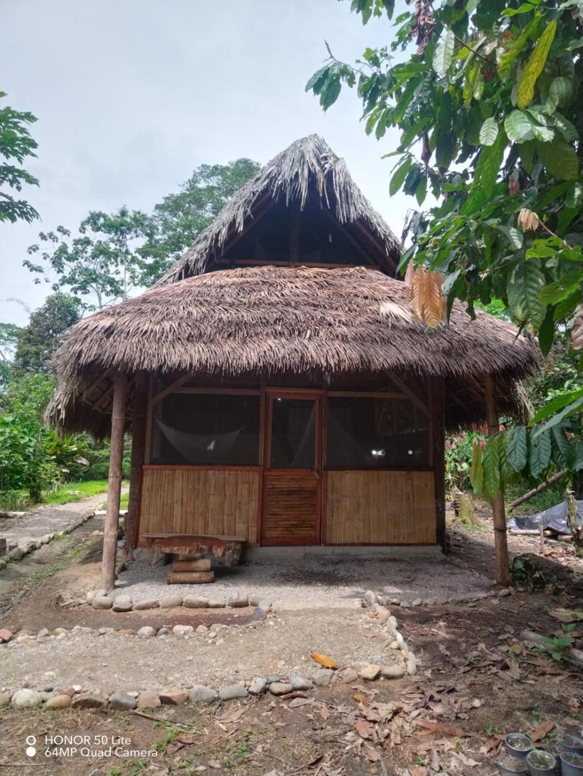 Cabanas Awana Río Arajuno المظهر الخارجي الصورة