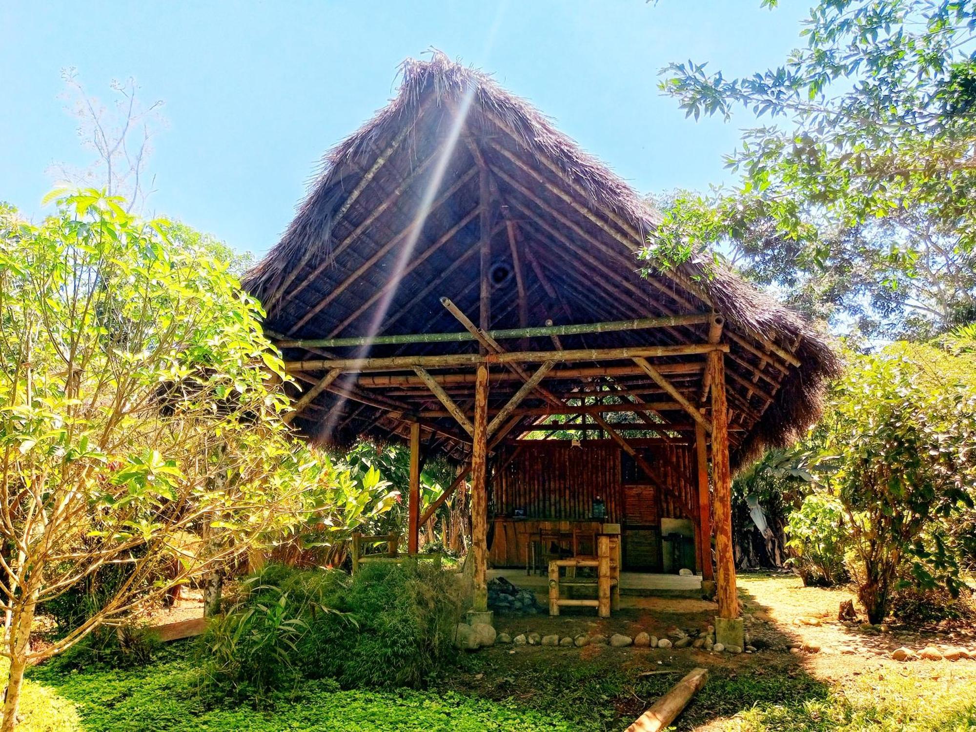 Cabanas Awana Río Arajuno المظهر الخارجي الصورة