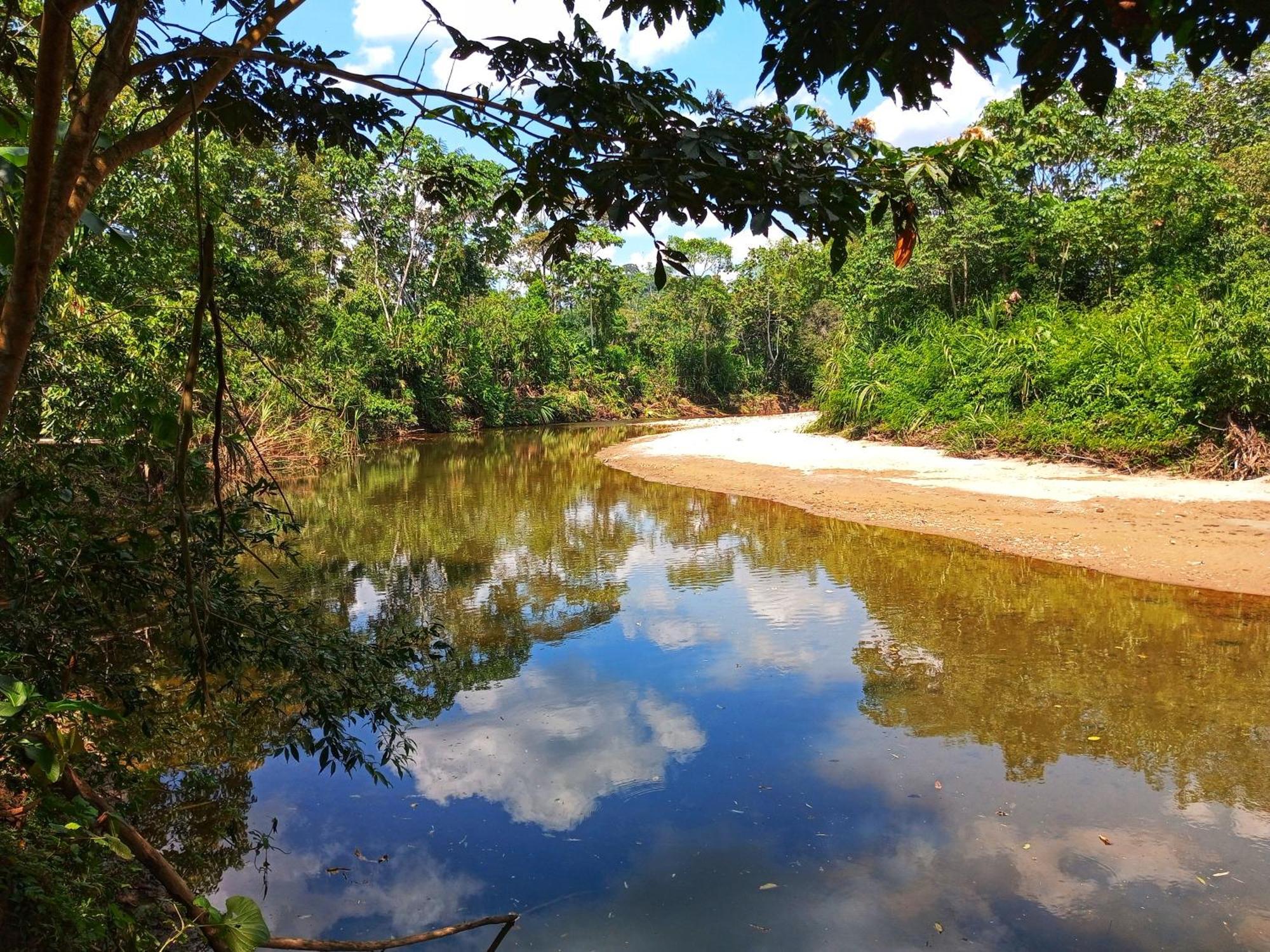 Cabanas Awana Río Arajuno المظهر الخارجي الصورة