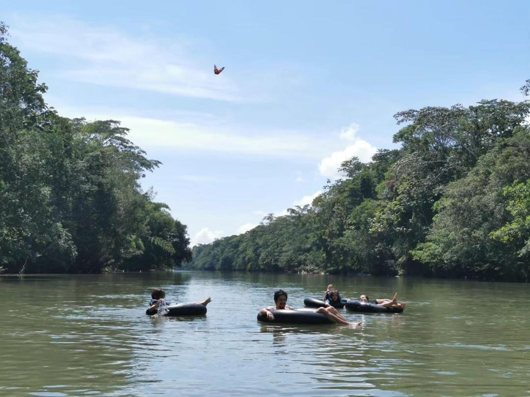 Cabanas Awana Río Arajuno المظهر الخارجي الصورة